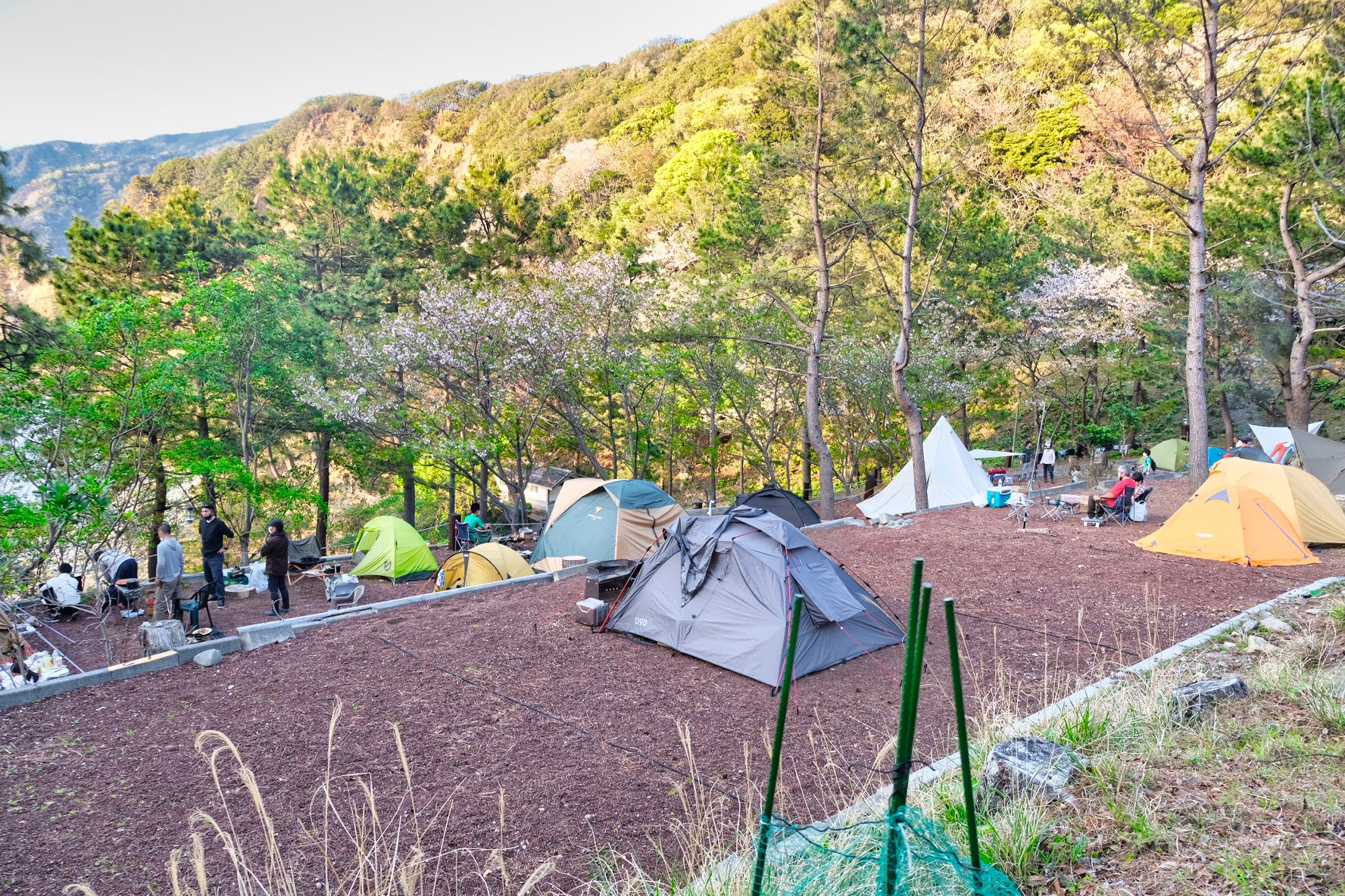 ゆるキャン 聖地巡礼 行程1,479kmの伊豆キャンプ！伊豆の自然・キャンプ飯に感動しました♪ | Camp Walker キャンプ・ウォーカー